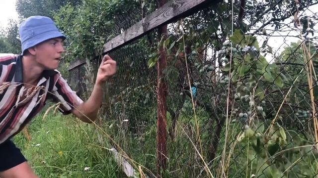 Дачные Вопросы с Игорем Огородовым смотреть онлайн