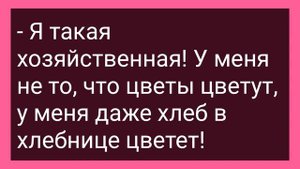Женщина После Визита к Ведьме Схватила Прохожего за Хозяйство! Сборник Свежих Смешных Анекдотов!