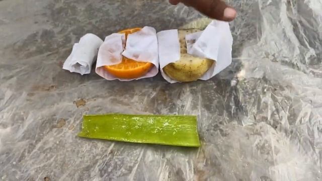 DIY Вырастите дерево гуавы, апельсинового дерева и клубничного растения из плодов клубники #w23 смотреть онлайн