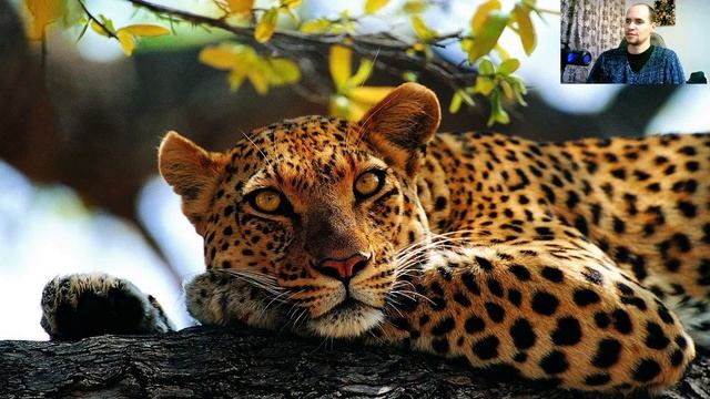 С наступающим новым 2024 годом! смотреть онлайн