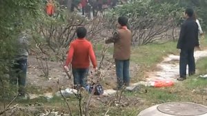 цигун - простейшие движения. Парки Пекина