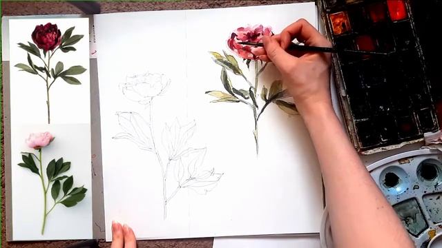 КАК РИСОВАТЬ ПИОНЫ / АКВАРЕЛЬ / ПОЭТАПНЫЙ ПРОЦЕСС