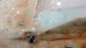 Смола на монтажной пене.