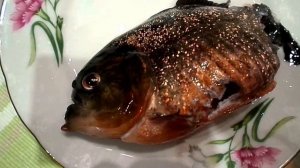 ПИРАНЬЯ - РЫБА УБИЙЦА! ВСЯ ПРАВДА О ПИРАНЬЯХ!