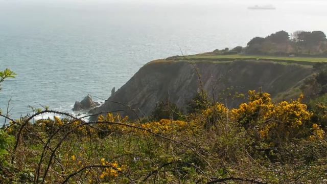 My Mistress' Eyes - music Stellan Sagvik - words Shakespeare смотреть онлайн