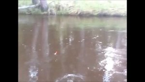 Рыбалка в ленинградской области, река Луга