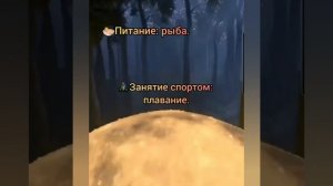 10.01.24 
❗ОСОБЫЕ РЕКОМЕНДАЦИИ ДНЯ: 
?Цвет одежды: голубой, аквамарин. Нельзя: коричневый, кирпичны