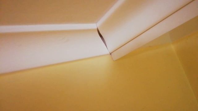 Установка потолочного карниза с багетом