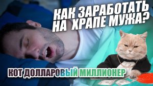 как один кот заработал миллион долларов, а другой влез в долги?