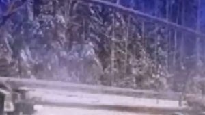 В гостях у сказки