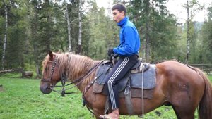 учимся управлять лошадкой