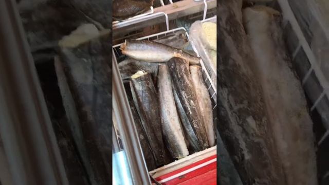 рыба,какая рыба,рецепт рыбы.готовим "хек" и правильно его выбираем.