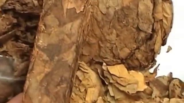 Ферментация табака в домашних условиях