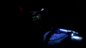 Ленинградская обл.рыбалка СВИРЬ НАЛИМ ВСЁ БЕРЁТ И БЕРЁТ,УЛОВ ХОРОШ ! 19 11 2017