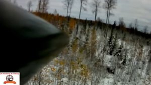 MOOSE HUNTING ! охота на лося с вышки