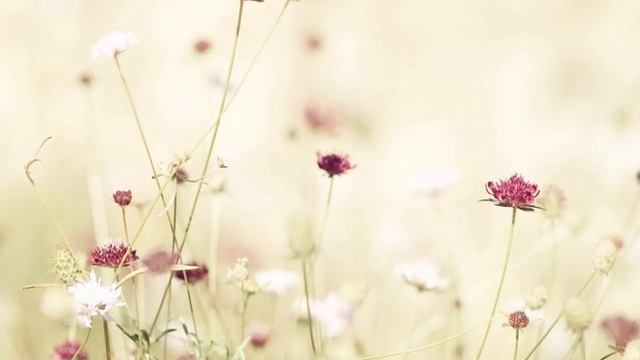 Медитация для начинающих смотреть онлайн