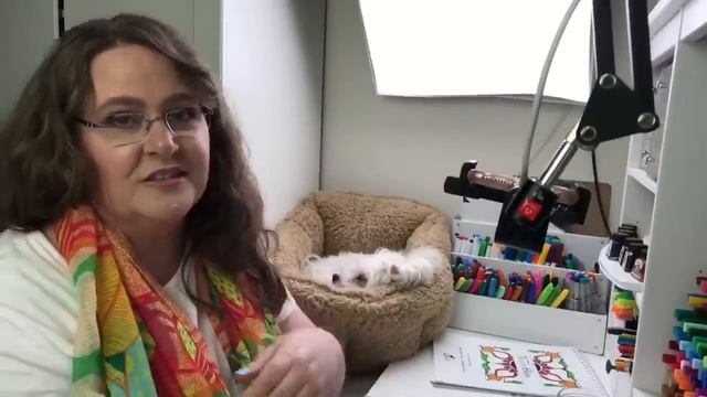 Review of Castle Art Supplies Colored Pencils & Gel Pens смотреть онлайн