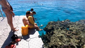 Reef Oasis Beach Resort 5* - Подводный мир