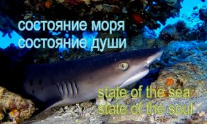 Состояние моря. Состояние души.