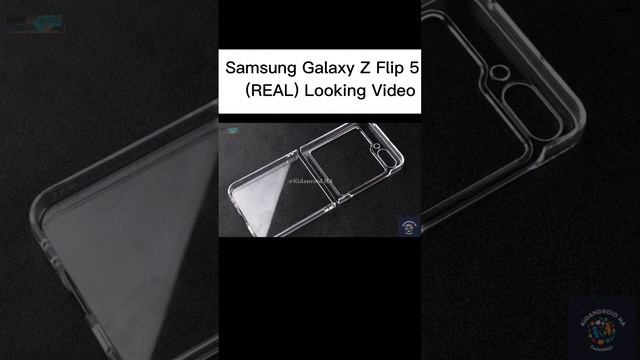 Samsung Galaxy Z Flip 5 - (REAL) Looking Video