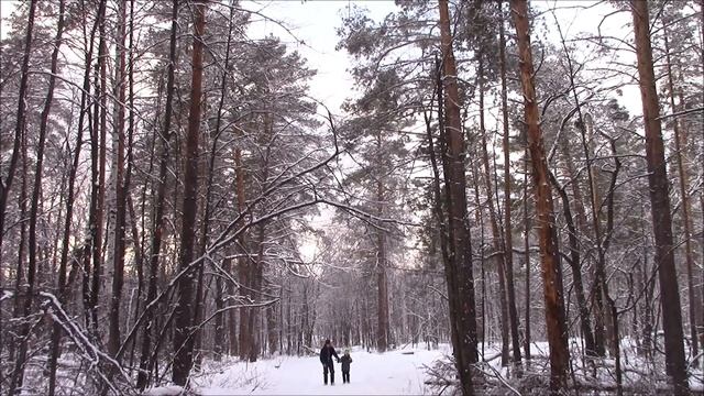 Водопад Девичьи слезы зимой. Рачейский бор.