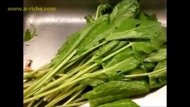 Что приготовить из щавеля 2 Щавель консервированный и Щи из Щавеля
