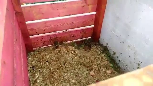 Мы сделали садовый компостер! смотреть онлайн