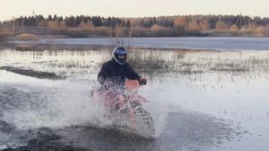 Минск Х250, питбайк, венгерская выжла и немного мартовской грязи...