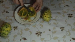 ВЫРАЩИВАНИЕ КИВАНО (РОГАТАЯ ДЫНЯ) - МОЙ ОПЫТ , ДЕГУСТАЦИЯ, КИВАНО КАК ЕСТЬ