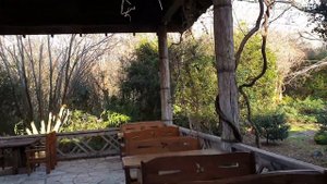 АБХАЗИЯ 2024. КУДА СЪЕЗДИТЬ. ДЕНЬ2. САМШИТОВАЯ РОЩА. ЗАКАТ. ВКУСНЫЙ УЖИН #абхазия #пицунда #отдых