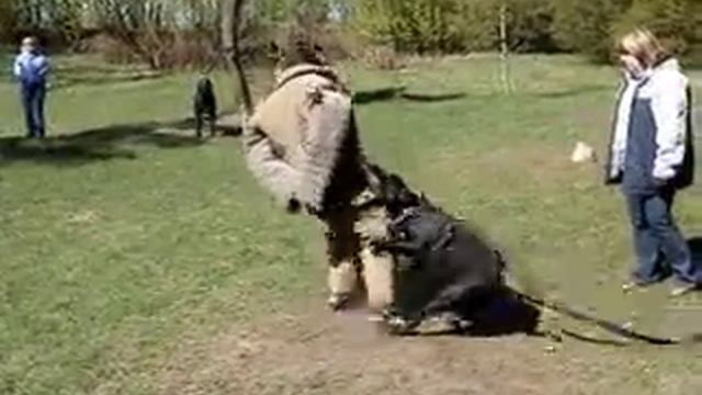 Ekskljuziv-N CHILLI PEPPERS смотреть онлайн