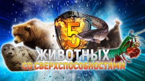 Топ 5 животных со сверхспособностями | DeeaFilm