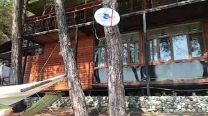 Пицунда. Гамаки. Отель Мон ами