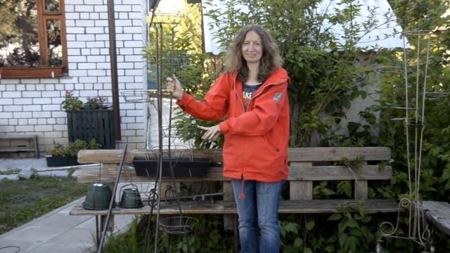 Фуксии в саду: где и как смотреть онлайн