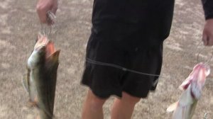 Ахтуба, Селитренное, Сентябрь 2014, Рыбалка и отдых на базе Ахтуба клуб, продолжение