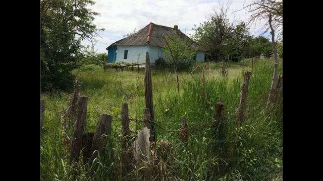 Morning in the village. Sounds of nature in the village. For relaxation and relaxation. Sounds смотреть онлайн