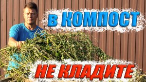 Самая лучшая закваска для компоста, какую траву нельзя класть в компост