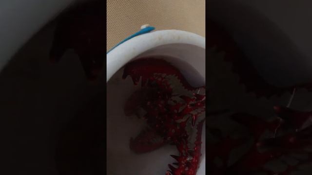 Большая красная морская звезда Занзибар пляж Нунгви смотреть онлайн