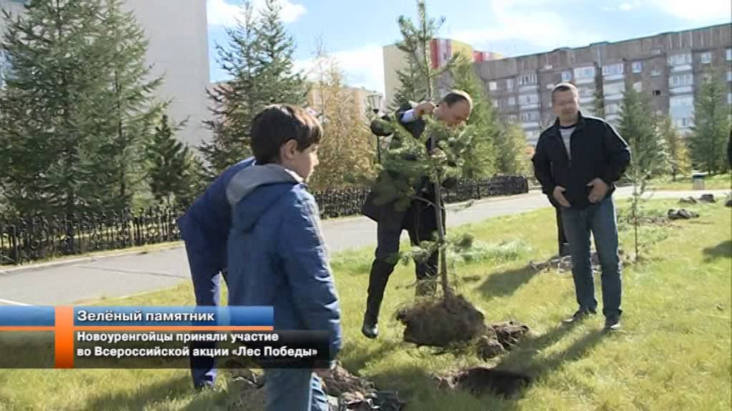 Новоуренгойцы приняли участие во всероссийской акции Лес Победы.
