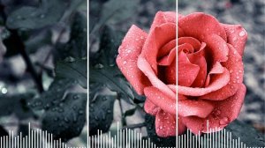 Besame Mucho | Cesaria Evora