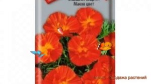 Эшшольция обыкновенная Маков цвет (makov tsvet) ? обзор: как сажать, семена эшшольции Маков цвет