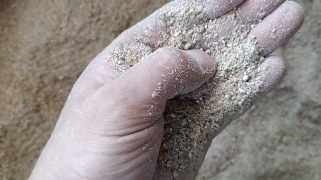 Цена откорма свиней зашкаливает ! Но я не сдаюсь - своего добьюсь! смотреть онлайн