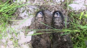 Рёконьская пустынь. Квадропоход Июнь 2017