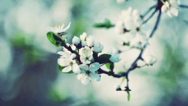 Музыка для сна,музыка для медитации.Спокойная,музыка для отдыха и релакса смотреть онлайн