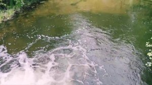 Озеро Хепоярви. Река Морье. Ленинградская область. Санкт-Петербург