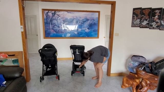 Baby Jogger City Tour 2 And Bugaboo Ant Comparison!
