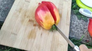Сорт томата - Сердце Марты (Martha's Heаrt )