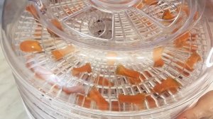 Тыквенные Цукаты в сушилке Мастерица СШ-0305. Простой рецепт цукатов из тыквы без варки