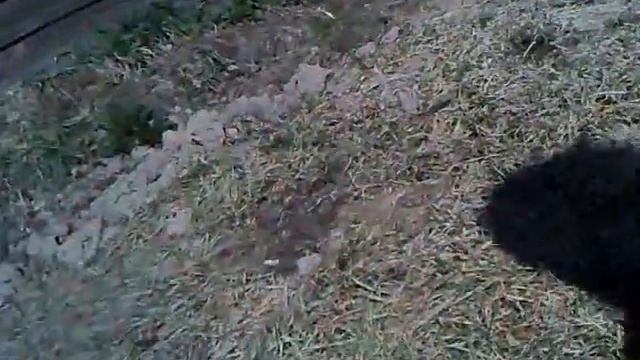 китайский насос для масла смотреть онлайн