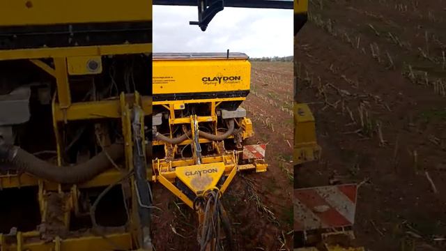 Claydon drilling into maize stubble